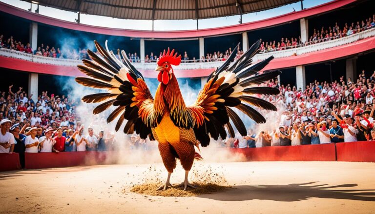 Sabung Ayam Thailand