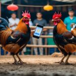 Sabung Ayam Deposit Gopay 2026: Strategi Memilih Ayam Juara untuk Kemenangan Otomatis
